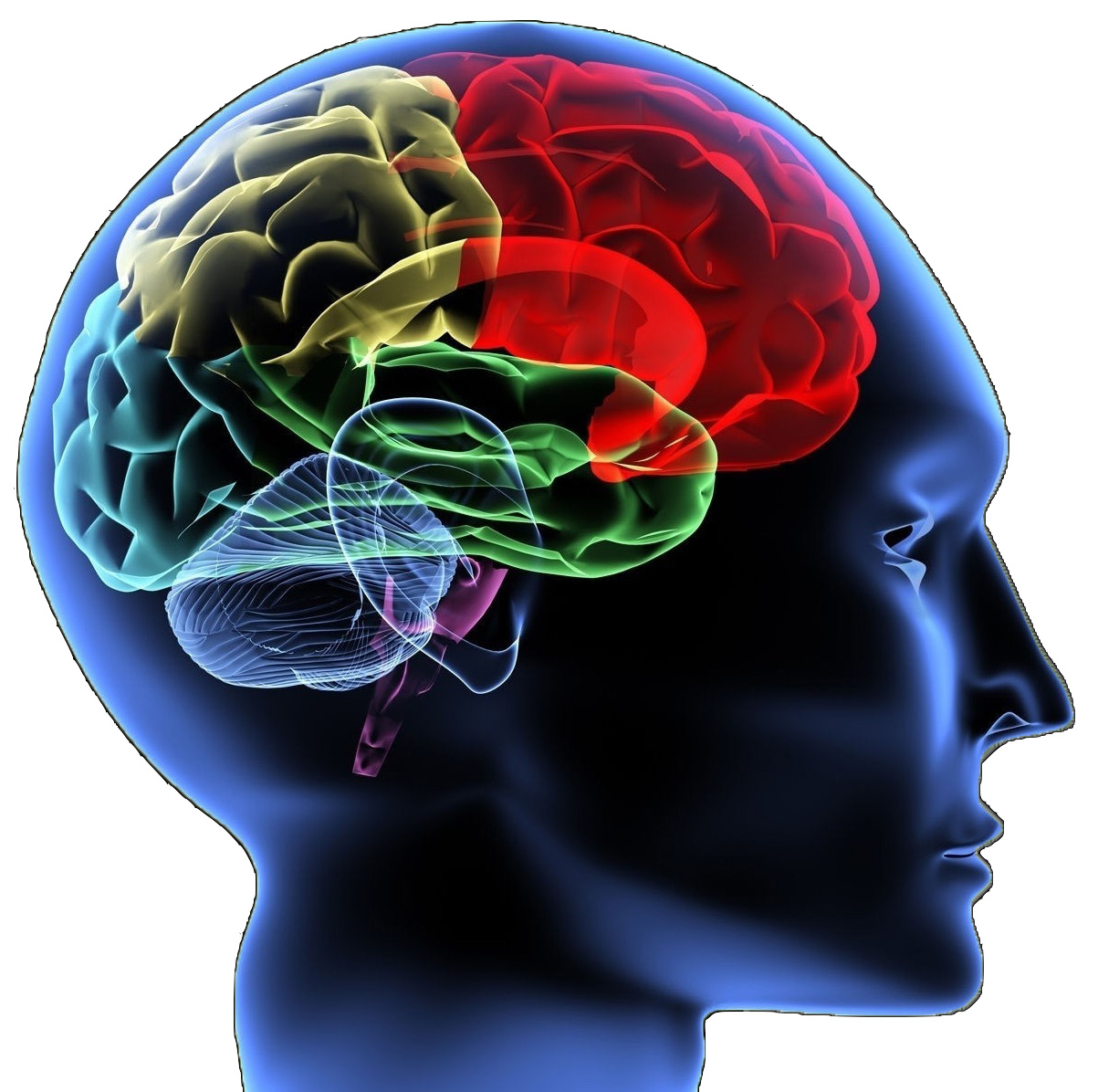 neyrologos thessaloniki.jpg